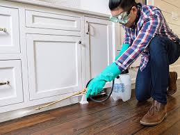 Best Real Estate Pest Inspections  in Chevy Chase Heights, PA